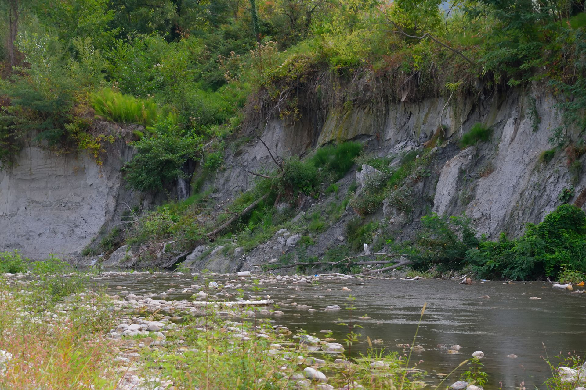 Tratto del fiume Panaro presso Vignola dove scava le Argille Azzurre plioceniche: questo luogo è ricchissimo di fossili di molluschi dal carattere tropicale ben conservati.