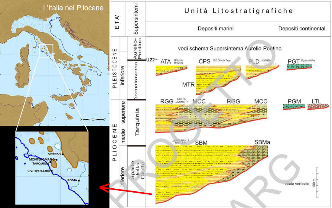 Collage esplicativo sulla geologia della zona: a sinistra le linee di costa in Italia nel Pliocene inferiore (da Wikipedia), a destra le divisioni in sintemi (volumi di deposizione separati da disconformità) delle litologia locali. Collage esplicativo sulla geologia della zona: a sinistra le linee di costa in Italia nel Pliocene inferiore (da Wikipedia), a destra le divisioni in sintemi (volumi di deposizione separati da disconformità) delle litologia locali.