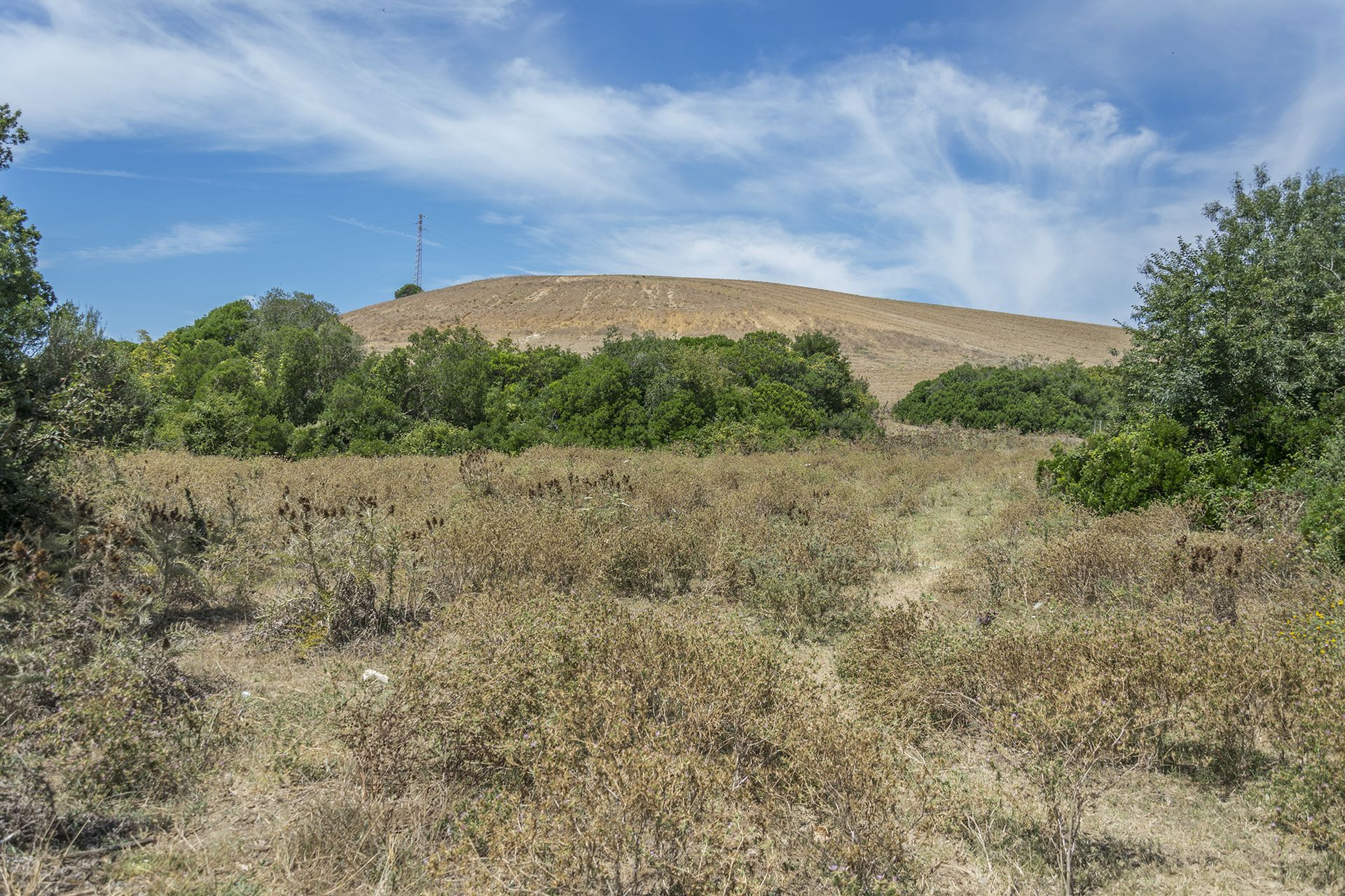 L'ambiente di queste colline plioceniche è quello tipico della Tuscia viterbese costiera: vegetazione brulla con arbusti spinosi e sporadiche macchie di boscaglia che bordano le valli e i fossi. L'ambiente di queste colline plioceniche è quello tipico della Tuscia viterbese costiera: vegetazione brulla con arbusti spinosi e sporadiche macchie di boscaglia che bordano le valli e i fossi.