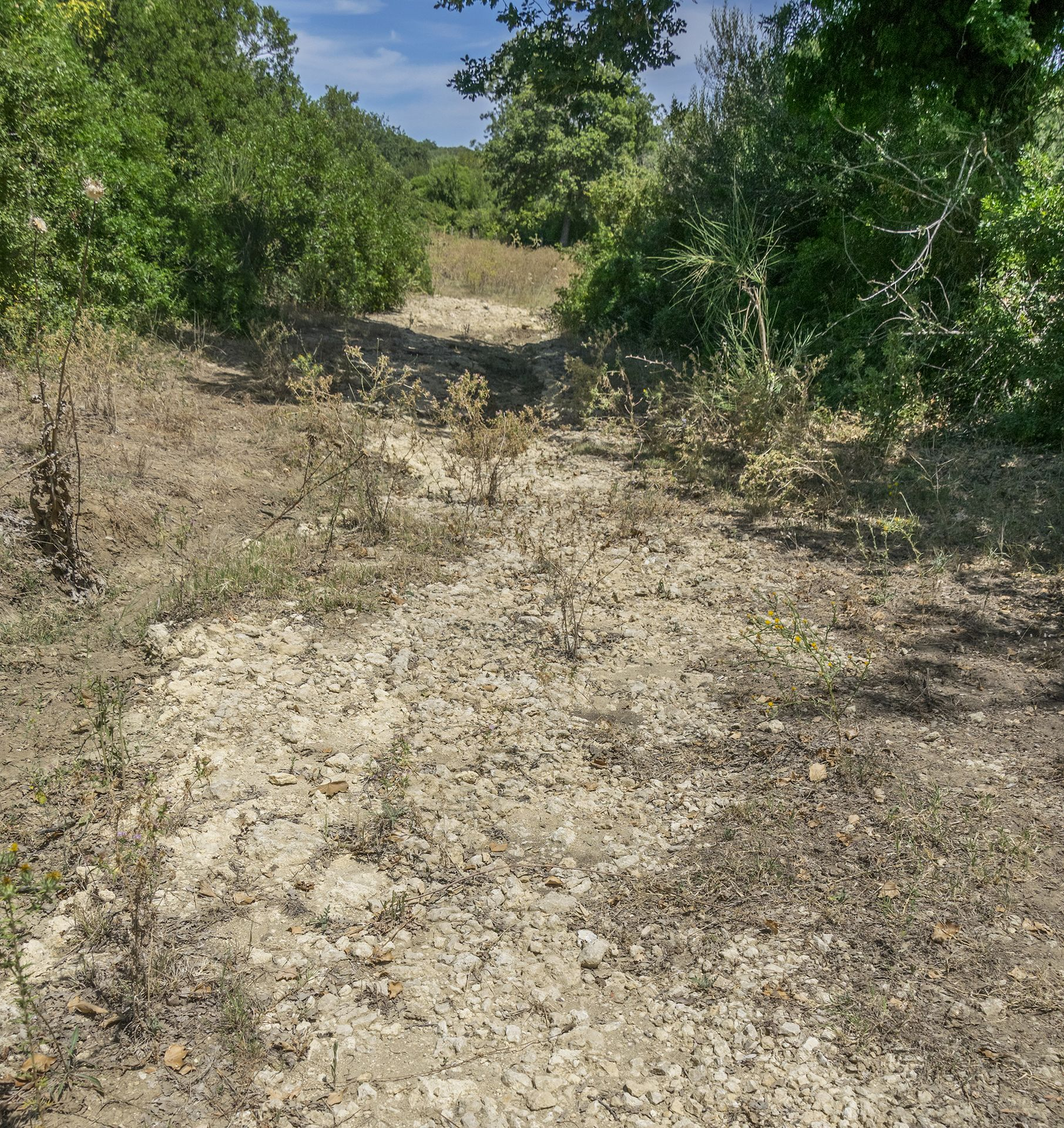 Terreno argilloso-sabbioso della zona: si tratta delle litologie RGG e SBM. Terreno argilloso-sabbioso della zona: si tratta delle litologie RGG e SBM.