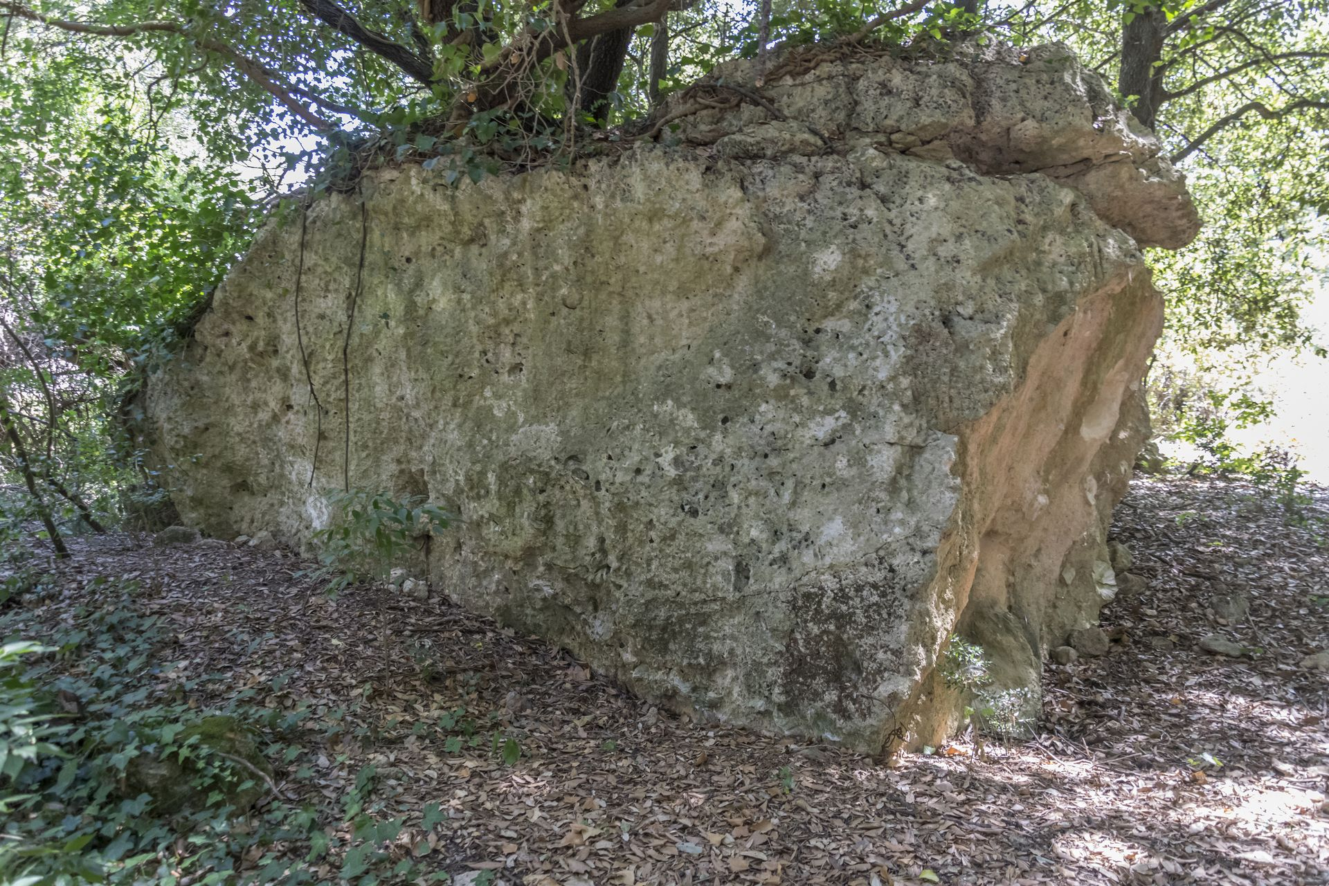 L'area recensita si trova ai bordi della dorsale calcarenitica dalla quale franano molti massi: qui se ne vede uno particolarmente grande, distaccatosi per erosione del substrato sabbioso-argilloso che lo sorreggeva.