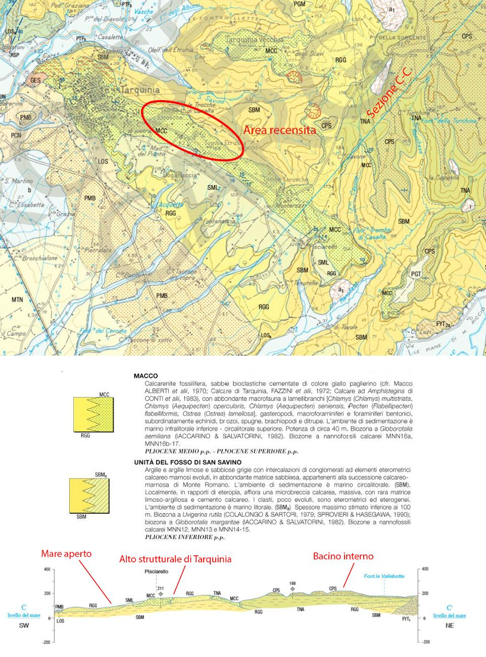 Carta geologica dei dintorni di Tarquinia, dal CARG 1:50000 foglio 354 Tarquinia. Nel collage si vede anche la ricostruzione della sezione C-C': si evince come, nel Pliocene medio-superiore, gli alti strutturali al di sopra delle SBM (che costituivano il  substrato del fondale del mare) siano stati ricoperti da MCC, mentre le zone laterali più bacinali sono state coperte da RGG, meno ricche di bioclasti. Si deve essere instaurato un ambiente più occidentale rivolto verso il mare aperto e uno più bacinale, protetto, sul lato orientale dell'attuale colle di Tarquinia.