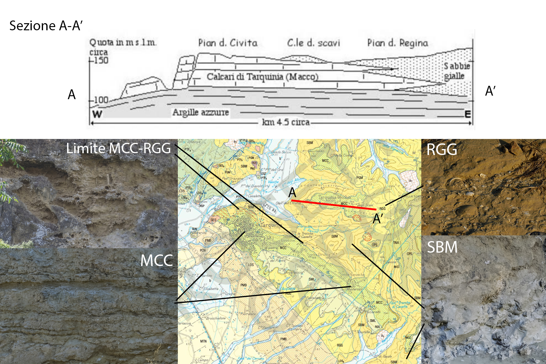 Esempi delle litologie plioceniche rinvenibili nei dintorni di Tarquinia: il luogo qui recensito potrebbe rappresentare la transizione tra le litologie eteropiche MCC e RGG. Sopra, la sezione A-A' ricavata nell'altura di Tarquinia vecchia, dalla morfologia analoga a quella di Tarquinia nuova (preso da "Condizioni geomorfologiche e stabilità dell'acropoli di Tarquinia vecchia" di  C. Cattuto, L. Gregori, M. Milano, S. Rapicetta).