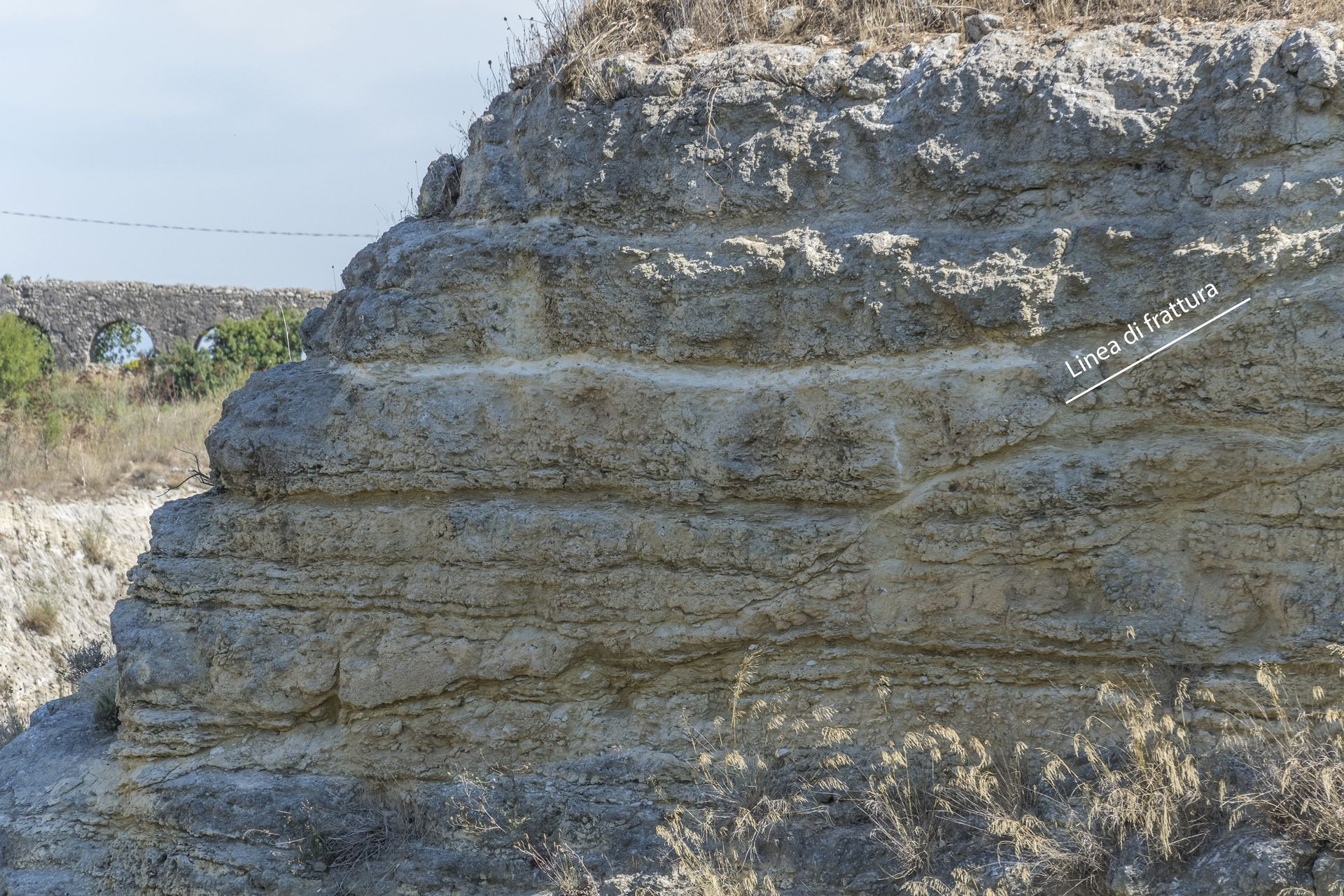 Alternanza di strati calcarenitici, di granulometria più grossolana e fortemente cementati, e calcilutiti, di granulometria più fine delle sabbie: l'erosione differenziale ha messo in risalto tutta la successione scavando i teneri strati calcilutitici e lasciando sporgenti i più tenaci calcarenitici.