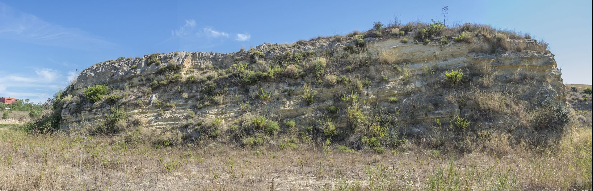 Sotto, foto panoramica di una porzione di affioramento sopravvissuta allo sfruttamento della cava: qui si può osservare l'alternanza degli strati e i loro rapporti geometrici.