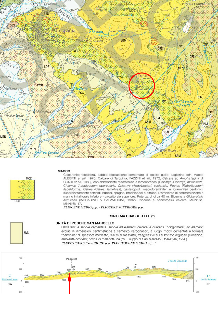 Carta geologica della zona a sud-est di Tarquinia con indicazione di Loc. Pisciarello.