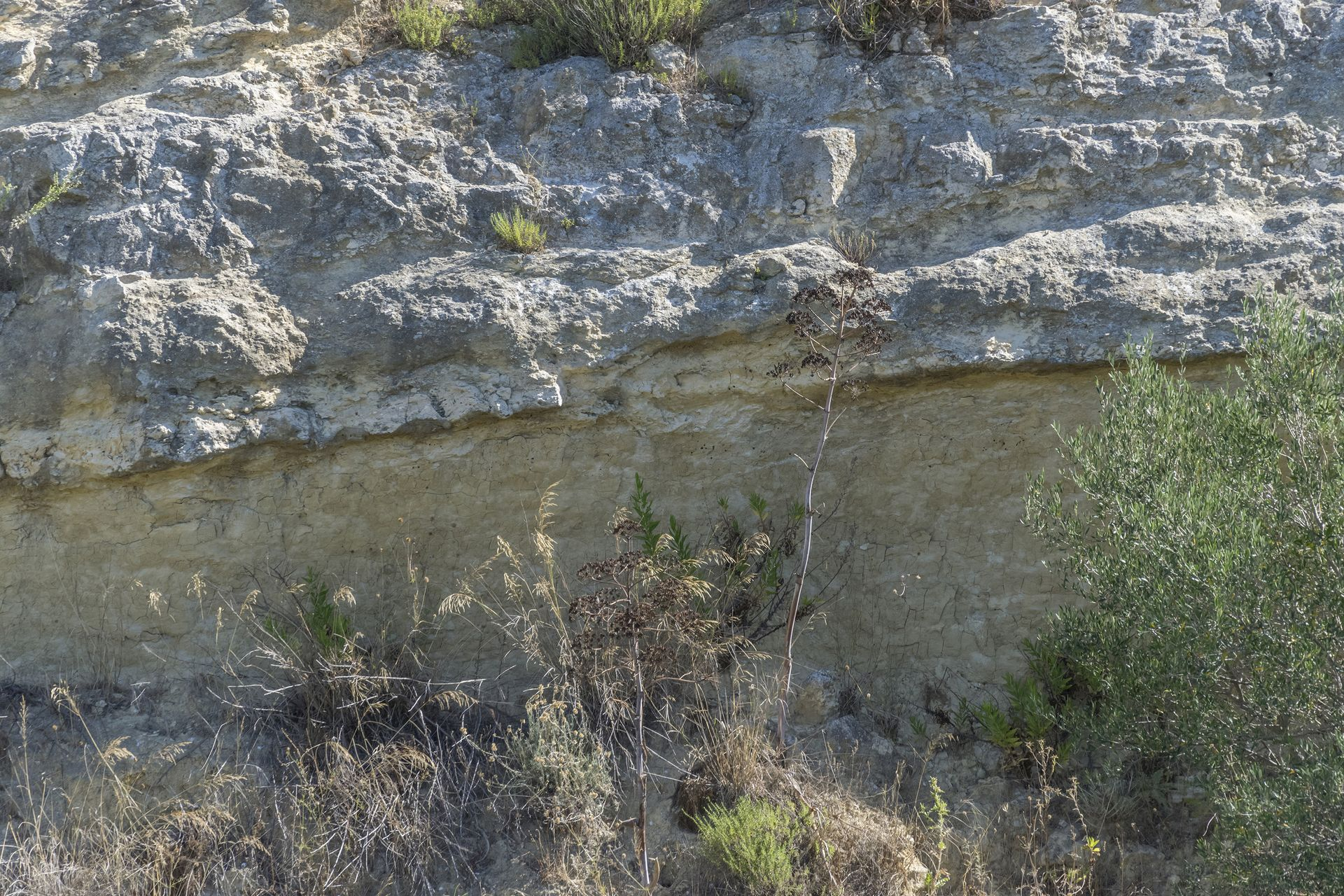 Netta superficie di discontinuità fra strati calcilutitici in basso, molto fini, e strati sabbiosi e calcarenitici, più grossolani e ricchi di bioclasti, fortemente cementati. Questa particolare successione potrebbe rappresentare il cambiamento di condizioni ambientali da un fondale relativamente profondo e calmo (in cui si depositano le calcilutiti) a condizioni di bassa profondità, alta energia e probabilmente di cicli di emersione (in cui si depositano i clasti più grossolani che daranno origine alla calcarenite).