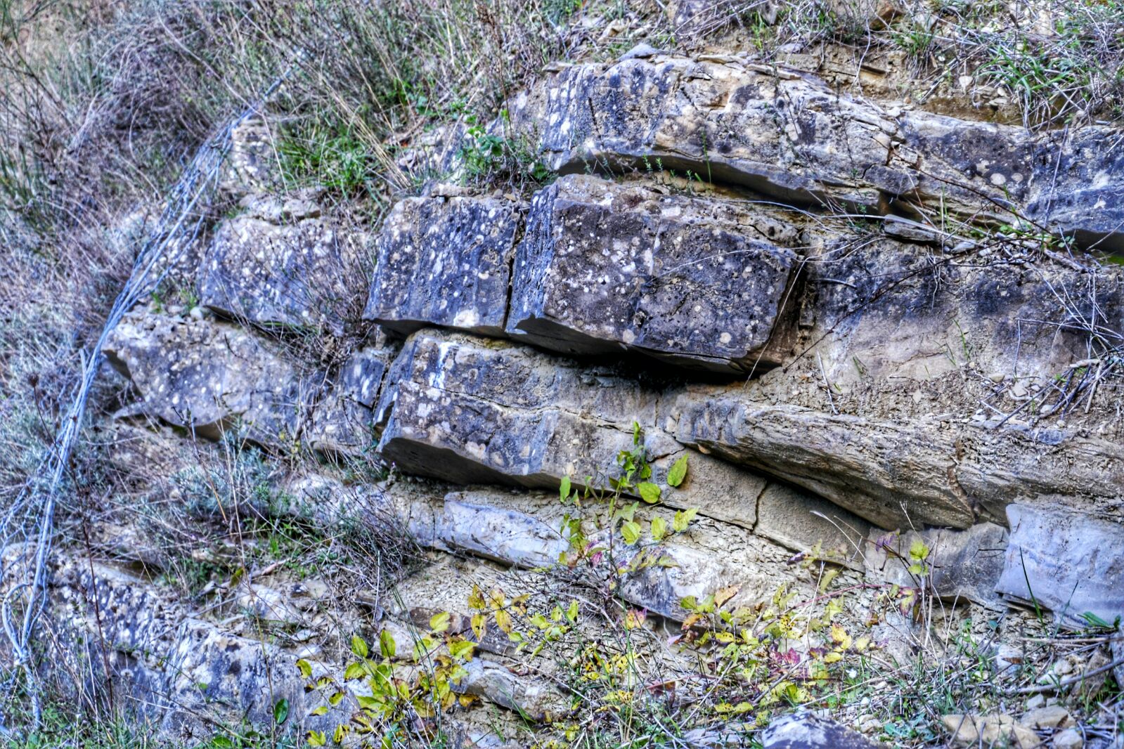Affioramento di flysch tolfetano FYT nei pressi del parco Marturanum, vicino Villa San Giovanni in Tuscia. Affioramento di flysch tolfetano FYT nei pressi del parco Marturanum, vicino Villa San Giovanni in Tuscia.