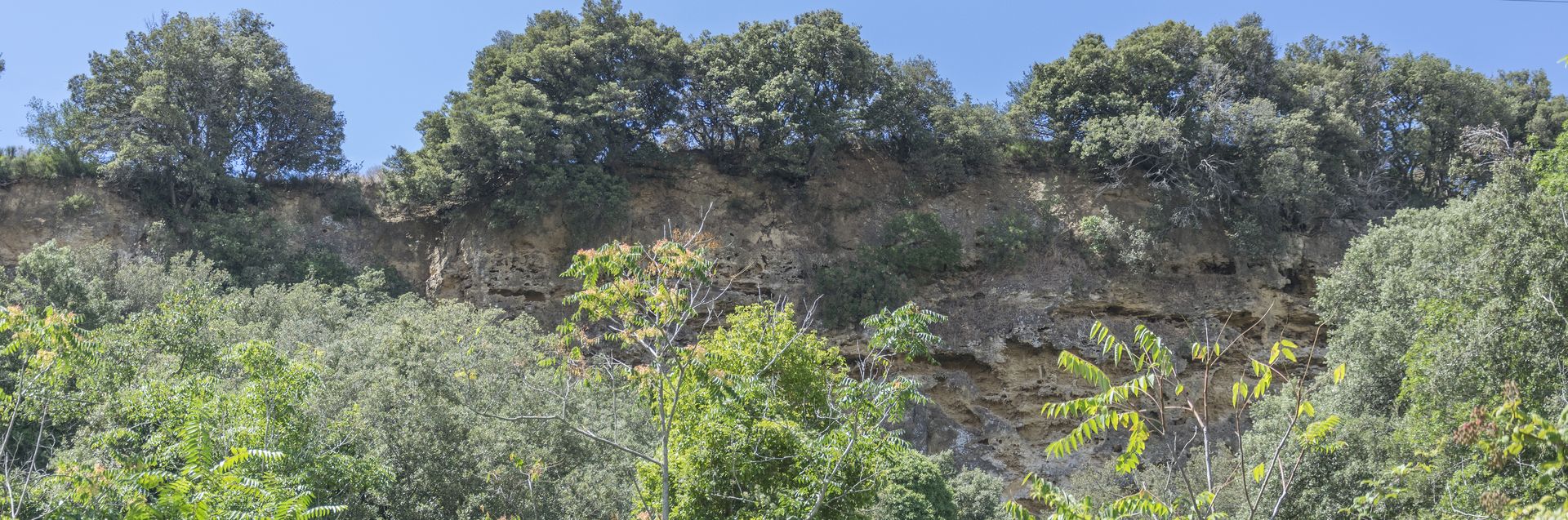 La parete calcarenitica sotto la quale si sviluppa la Macchietta del Bove, in primo piano, vista dalla piana antistante.