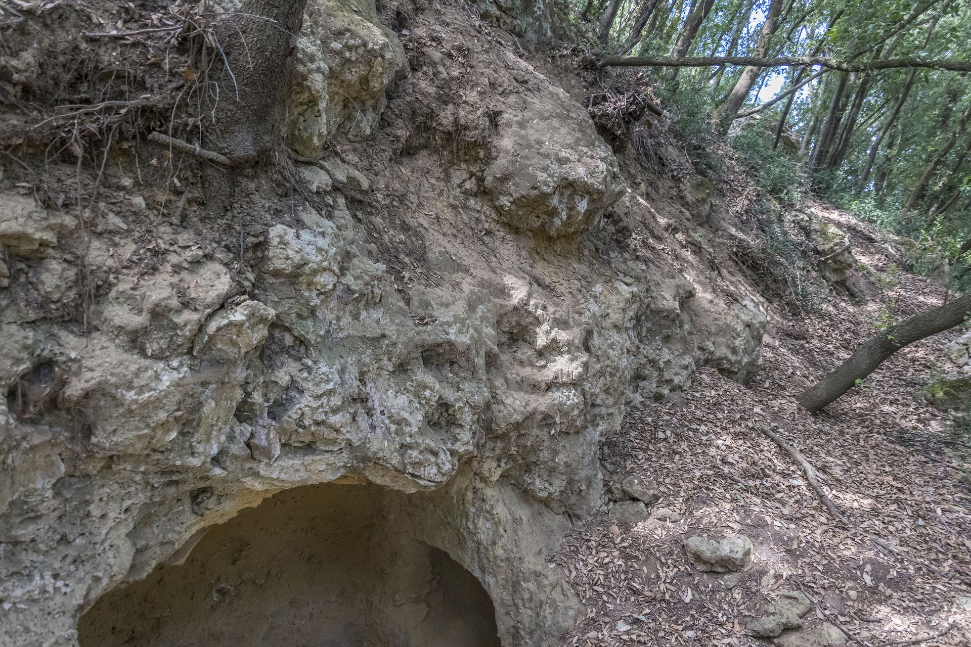 Porzione di affioramento dal carattere calcarenitico che presenta una piccola grotta naturale originata probabilmente dall'erosione di una lente sabbiosa meno coerente. Al di sopra degli strati calcarenitici sovrastanti l'apertura si notano porzioni pedogenizzate colonizzate addirittura da alberi.
