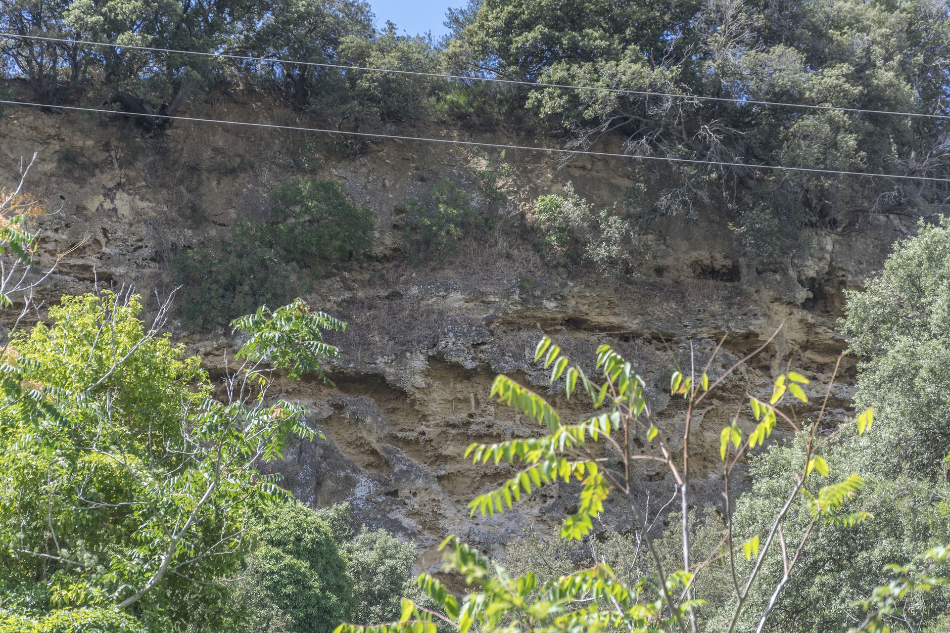 La parete calcarenitica che domina la Macchietta del Bove vista dalla piana antistante.