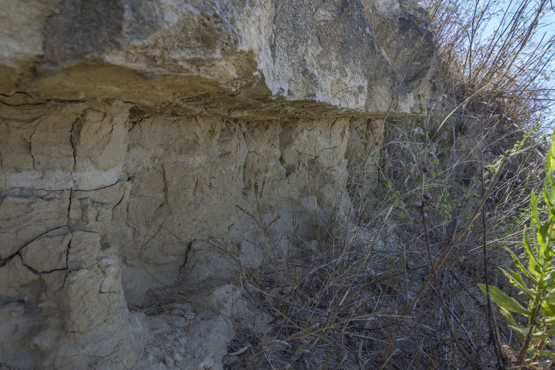 Dettaglio della superficie di discontinuità che separa i livelli sottostanti a granulometria fine dai sovrastanti strati più grossolani e calcarei. L’analisi di questa struttura evidenzia come il cambiamento delle condizioni deposizionali sia avvenuto in modo relativamente repentino, probabilmente associato a processi erosivi. Ciò è testimoniato dal netto taglio degli strati a sedimento fine da parte dei livelli sovrastanti e dalla lieve ondulazione della superficie di contatto, interpretabile come un’impronta di forme di fondo.